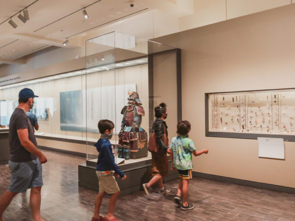 An adult and three young children approach a museum display case full of small objects.